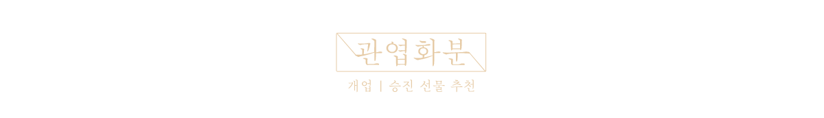 2023 보자기상품