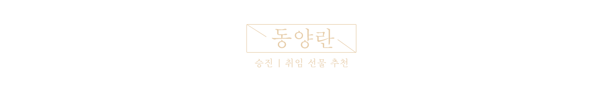 2023 보자기상품