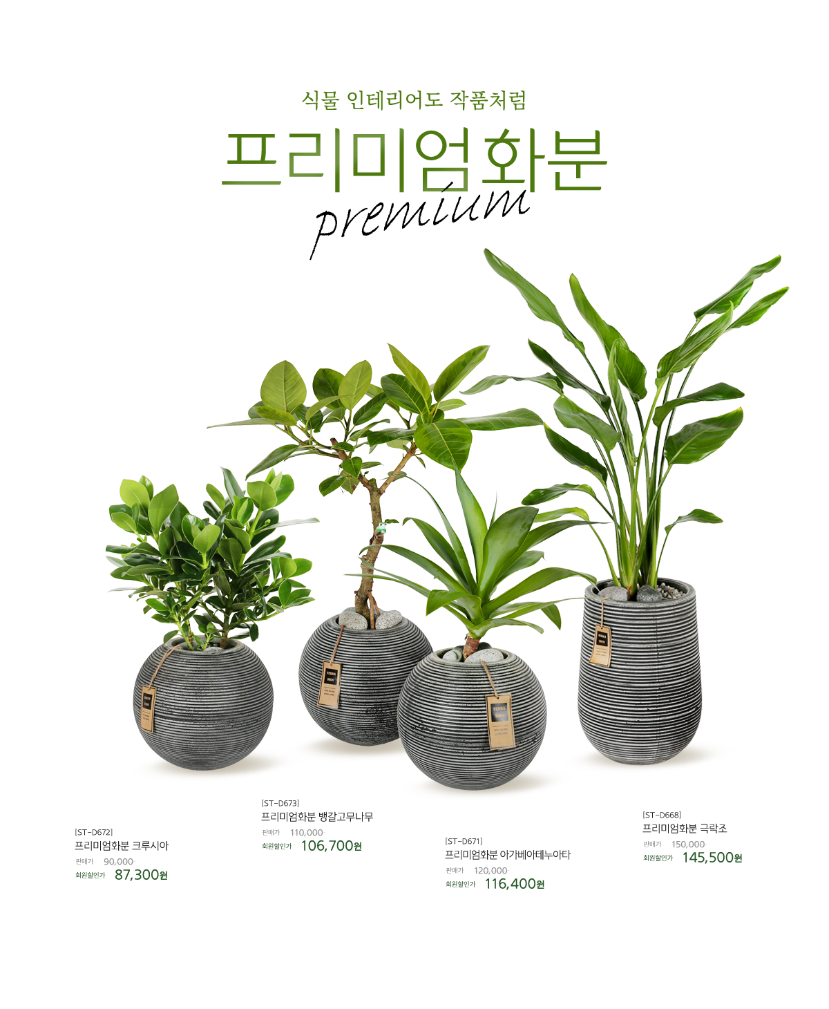 2024 프리미엄화분