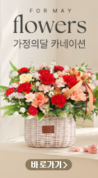 플라워시티 기획전